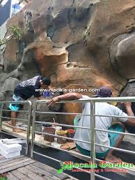 Siapa taman yang dilengkapi dengan tebing buatan? Galeri Foto Taman Kolam Tebing