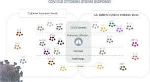 Trong những ca nặng, bão cytokine gây tổn thương, suy đa phủ tạng và dẫn đến tử vong. Sars Cov 2 Infection The Role Of Cytokines In Covid 19 Disease Sciencedirect
