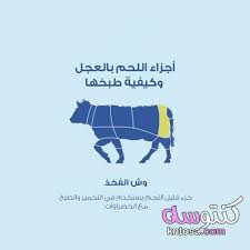 اجزاء اللحم بالصور افضل لحم فى العجل تفصيل لحم العجل اجزاء العجل و انواع اللحوم و استخداماتها Kntosa Com 16 19 156 Book Worth Reading Worth Reading Books
