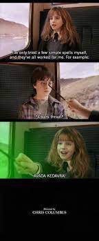 Harry Potter Alternate Ending Harry Potter Puns Harry Potter Jokes Harry Potter Funny