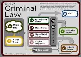 Crim Cover Criminal Law Law School Inspiration Law