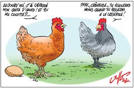 Sur toutcomment.com, nous vous expliquons comment empêcher votre chien d'attaquer les poules. Mettez Vous Au Poulailler En Kit