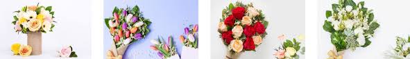 A scented bouquet of flowers will say 'congratulations, i'm proud of you!'. The 14 Best Options For Flower Delivery In Edinburgh 2021