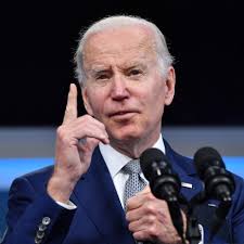 Image result for Bidens elliotii