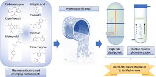 Program 40 episod ini mengetengahkan isu terkini dan viral menerusi pelbagai bentuk aktiviti hiburan berteraskan komedi. Algal Based Removal Strategies For Hazardous Contaminants From The Environment A Review Sciencedirect