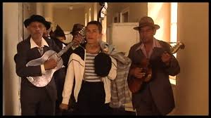 Risultati immagini per gatto bianco gatto nero