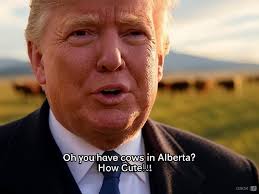 Australia's Response to Trump Administration's Trade Policies and Tariffs