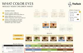 And because melanocytes respond to light, the amount of. Baby Eye Color Calculator Eye Color Predictor