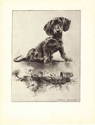 Black And White Dachshund Print Wasn T Me 1940s Vintage Dog Book Print Dachshund Black White Wall Decor Vintage Illustration To Frame Book Pla Dachshund Art Dachshund Print Dog Print Art