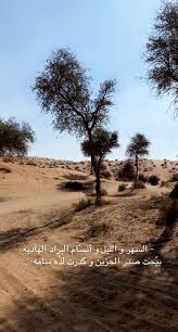 صور بر مع عبارات ضيم In 2021 Photo Quotes Country Roads Snapchat Quotes