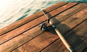 Longitude graphite ll inshore spinning rod by okuma. How To Choose A Fishing Rod Campermate