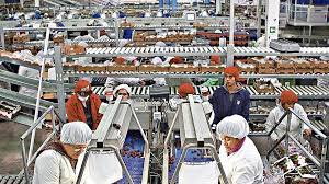 Bonificación de sueldo a nuevos empleados. Nuevo Subsidio Al Empleo Postula Aqui Y Conoce Todos Los Detalles Bonos Del Gobierno De Chile