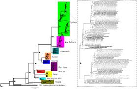No ano passado, o líder da igreja internacional da graça de deus, havia anunciado durante programa de tv uma água para curar a doença. Frontiers Evolutionary And Molecular Analysis Of Complete Genome Sequences Of Norovirus From Brazil Emerging Recombinant Strain Gii P16 Gii 4 Microbiology