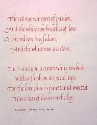 A White Rose Roses Are Red Poems Rose Poems Rose Quotes