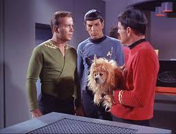 Star Trek The Original Series Image The Enemy Within St Tos Star Trek Episodes Fandom Star Trek Star Trek Original
