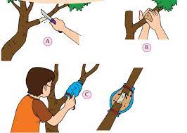 Perlakuan mereka sangat baik dan patut ditiru sebagai anak bangsa yang harus belajar berbuat kebaikan sejak. Kunci Jawaban Buku Tema 1 Kelas 3 Sd Halaman 181 182 183 185 186 187 Subtema 4 Pembelajaran 6 Halo Belajar