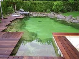 Pin By Nella On Garden Outdoors And Pets Modern Pond Ponds Backyard Swimming Pool Pond