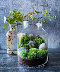 Your Place To Buy And Sell All Things Handmade In 2020 Terrarium Orchids Large Jar