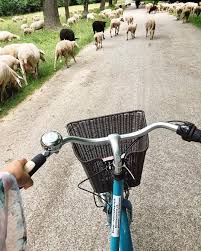 Biking Through Like Local Traffic In Munich Germany Travel Blogger Germany Munich Europe Jetsetter Vacation Instagram Germany Jet Setter