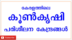 Home mushroom cultivation with hydrogen peroxide, by r unfortunately, there are a limited number of titles on mushroom cultivation, and many are out of print. Koon Krishi Malayalam Pdf 14 The Edelstein Center For The Analysis Of Ancient Artifacts