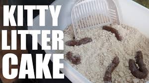 Explore {{searchview.params.phrase}} by color family {{familycolorbuttontext(colorfamily.name)}} Kitty Litter Cake Dollar Tore Recipe Youtube