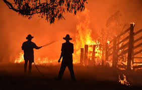 Thus far, the fires have ravaged over 9,000 hectares (22,200 acres) of farmland across eastern perth, and they're forecasted to continue for the next. What Caused The Wildfires In Australia Amid Worst Blazes For A Decade 24 People Are Charged With Arson
