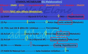 Pin By Andres Sanchez On Toxicology In 2020 Ketone Bodies Anion Gap Lactation