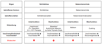 Einfluss Der Hormone Auf Den Stoffwechsel Diabetes News Diabetes News