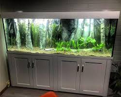 Hintergrund Des Aquariums 3d Gepasst In Ein Aquarium 3d Aquarium Aquariums Des Ein Gepasst Hintergrund Aquarienfische Akvaryum Ve Minyatur Masal Bahceleri