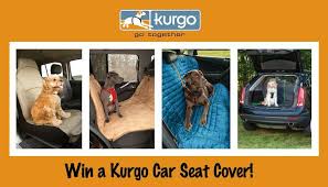 We know how challenging it can be to choose the right one, especially if you're presented with a dizzying array of options. Protect Your Car From Dog Fur