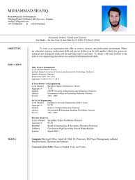 Advertising mba project report prince dudhatra. B Tech Civil Engineer And Mba Project Management Resume Cv Engineer Project Management