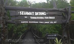 Habitat kepada harimau, gajah dan rusa. Pengalaman Aktiviti Trekking Di Taman Rekreasi Paya Bakau Sijangkang Some Bullet For Your Head
