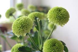 We did not find results for: Pin On Baby Shower