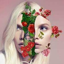 Dissected Botany Portraits Floral Collages Marcelo Monreal Portrait Art