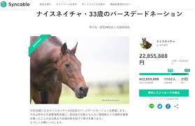 We did not find results for: Will The Uma Musume Boom Save Retired Horses The Reality Revealed By The Support Group And The Feelings For The Spreading Donation I Have No Choice But To Thank J Cast News Full Text