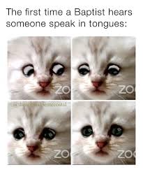 9 accidentally used a cat video filter during a many joked that the viral moment could end badly, alluding to milkshake duck, a meme that describes people who initially are perceived as good. Zoom Cat Lawyer Baptist Hears Someone Speak In Tongues Meme Ahseeit