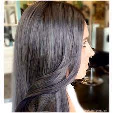 Pin On Gray Hair Color Goals