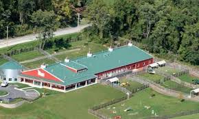 We offer room service, playtime, splash. This Place Is Unreal Dog Boarding Kennels Dog Hotel Pet Resort