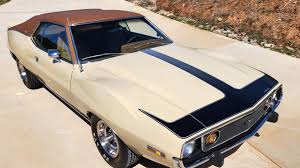 Image result for White 1973 AMC
