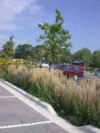 Pin On Alternative Parking Design