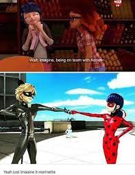Pin By Maggie Mcmillan On Miraculous Tales Miraculous Ladybug Anime Miraculous Ladybug Memes Miraculous Ladybug Comic
