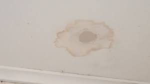 Anything that may poke a hole in. How To Stop Water Stains From Bleeding Through Paint How To Hide Water Stains Alternative Youtube