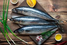 Ikan tenggiri sering diolah menjadi bahan pempek. Sering Ada Di Kemasan Kaleng Ini Bedanya Ikan Sarden Dan Makarel Semua Halaman Bobo