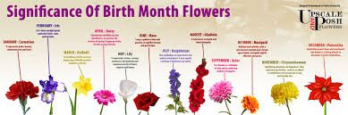Like gemstones, flowers can represent birthdays in each month of the year. Birth Month Flowers Visual Ly