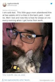 30 People Who Didn't Want Pets But Changed Their Mind Real Fast