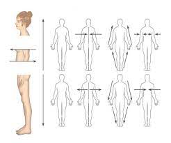 The human body is one complex network, universally accepted as the most intriguing construct. Definitions In Anatomy And Physiology