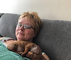 Dachshund puppies for sale in Utah, purebred and mixed breed options  available