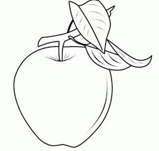 Selain itu daging dari buah melon juag memiliki warna orange muda dan sedikit. Sketsa Apel Radea