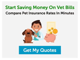 The company offers customizable pet insurance plans and wellness coverage, plus the ability to stack up to 25% in discounts, making it the best choice of pet insurance for discounts. Men1b4tnfsfwam