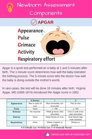 Pediatric Nursing Child Nursing Newborn Assessment Mother Baby Nurse